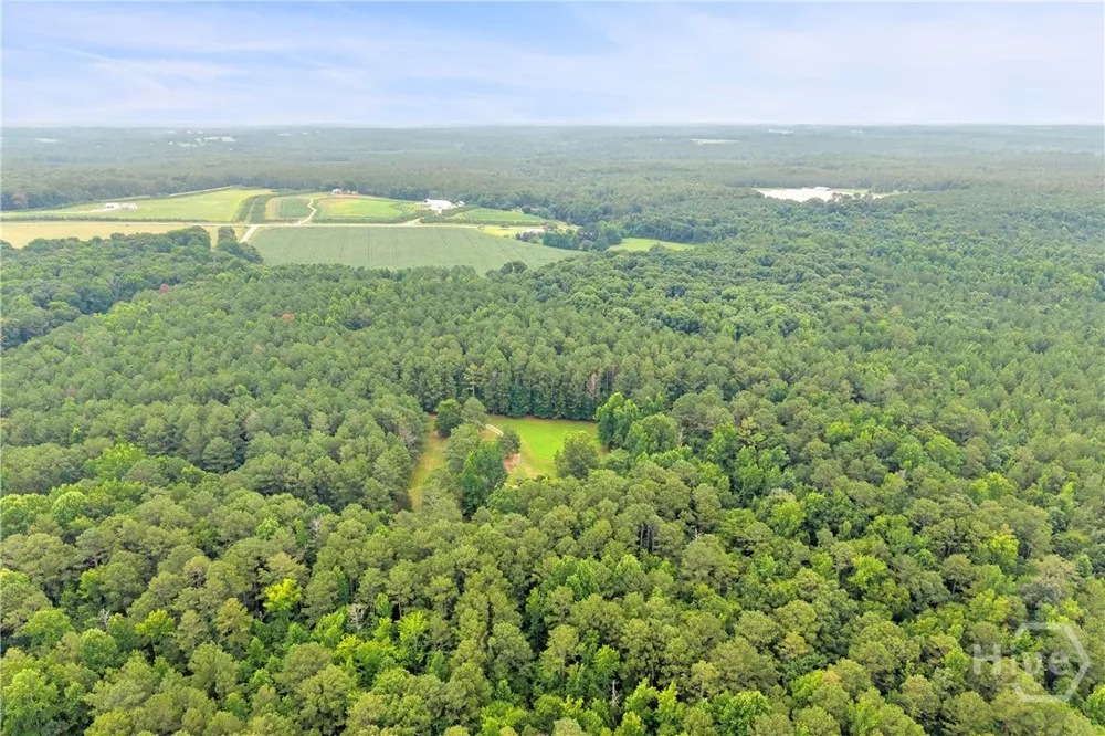 81 Paul Lane Crawford, GA 30630