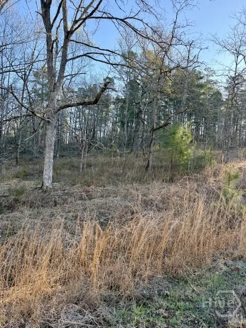 River Ridge Trail #396 Sparta, GA 31087