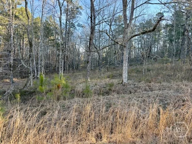River Ridge Trail #396 Sparta, GA 31087