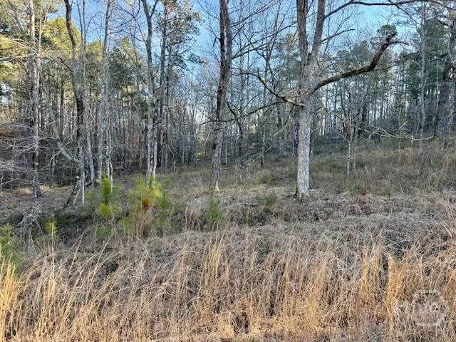River Ridge Trail #396 Sparta, GA 31087