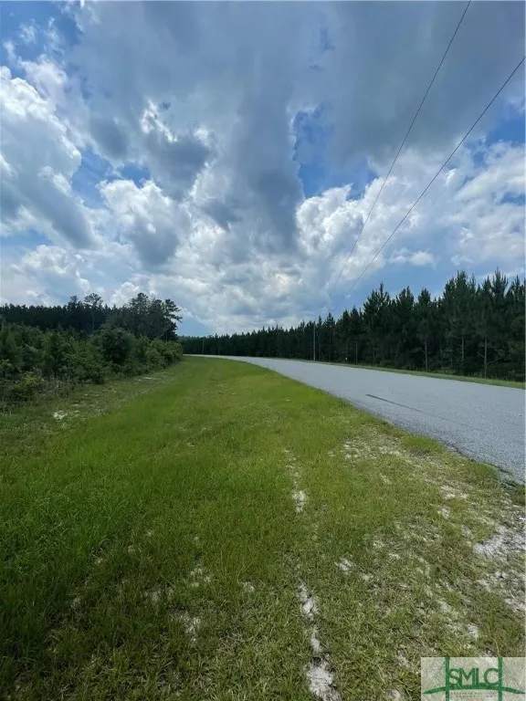 RAHN STATION ROAD Springfield, GA 31329