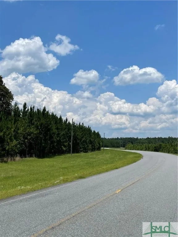 RAHN STATION ROAD Springfield, GA 31329