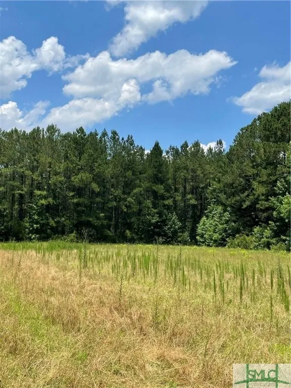 RAHN STATION ROAD Springfield, GA 31329