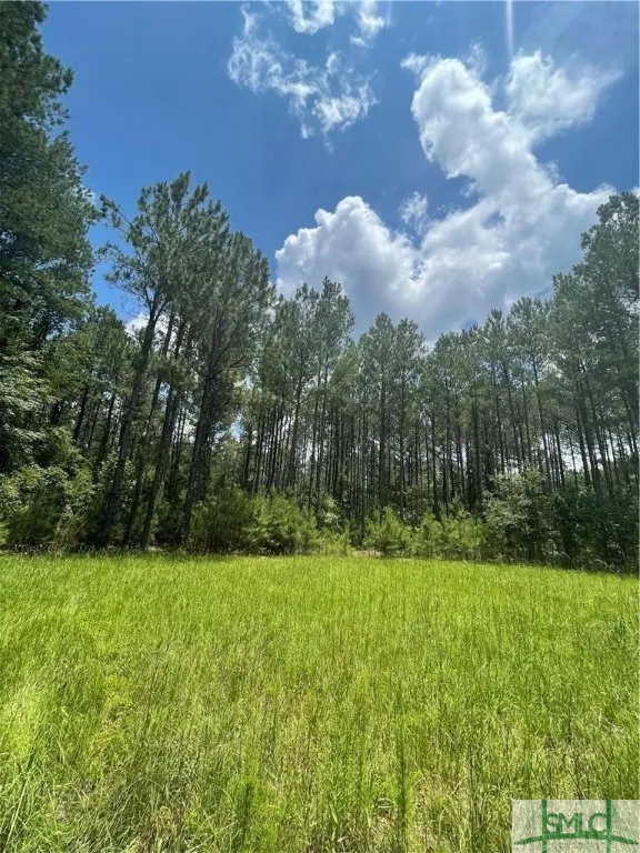 RAHN STATION ROAD Springfield, GA 31329