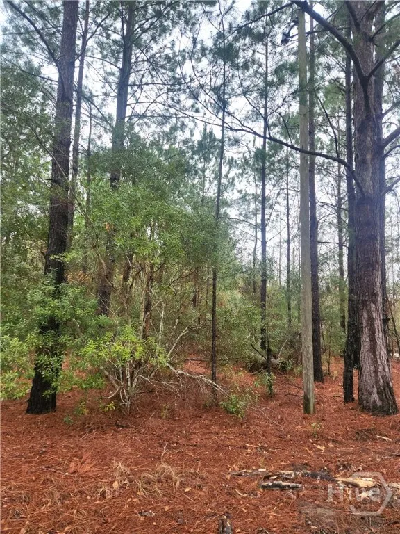 351 Poplar Pembroke, GA 31321