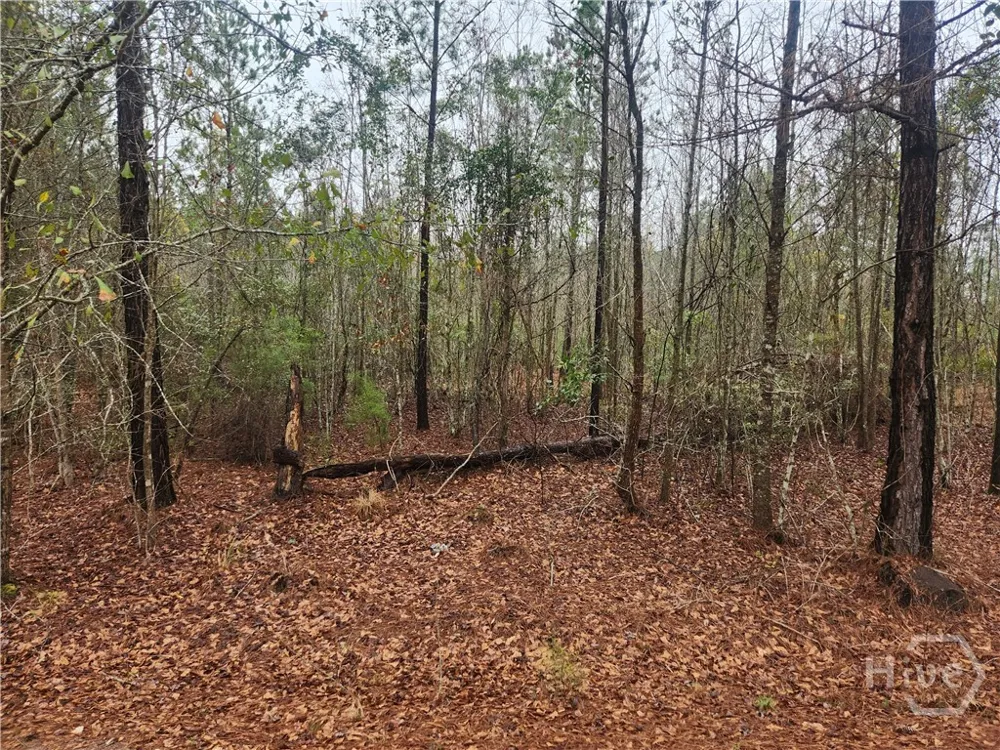 351 Poplar Pembroke, GA 31321