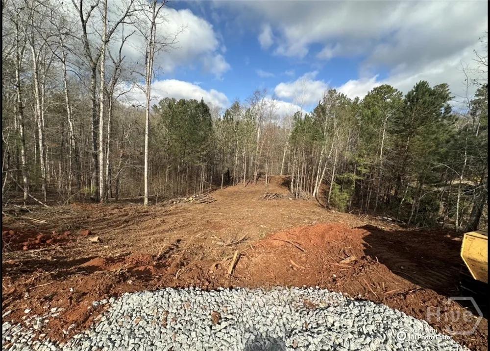1698 Shoal Creek Way Bishop, GA 30621