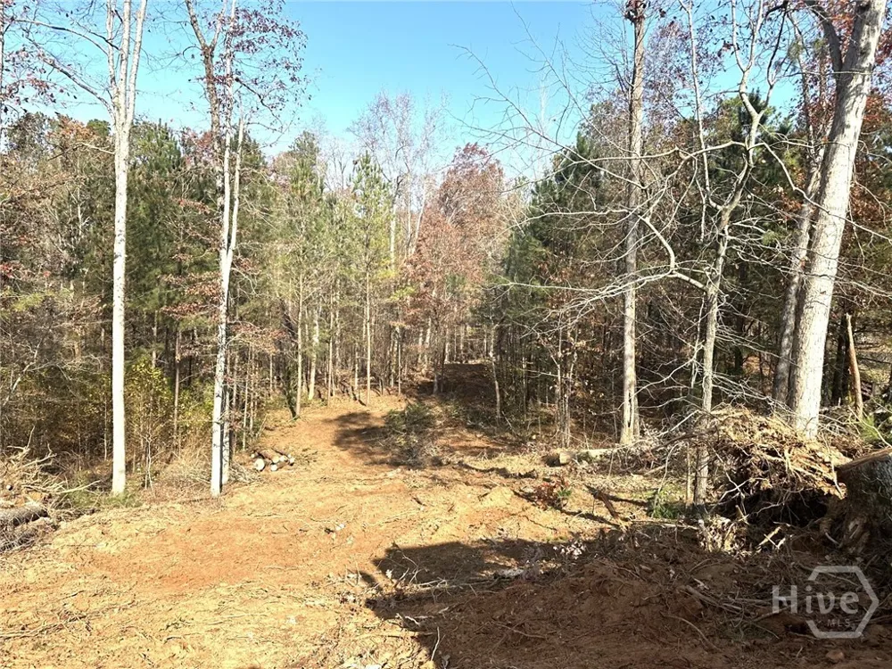 1698 Shoal Creek Way Bishop, GA 30621