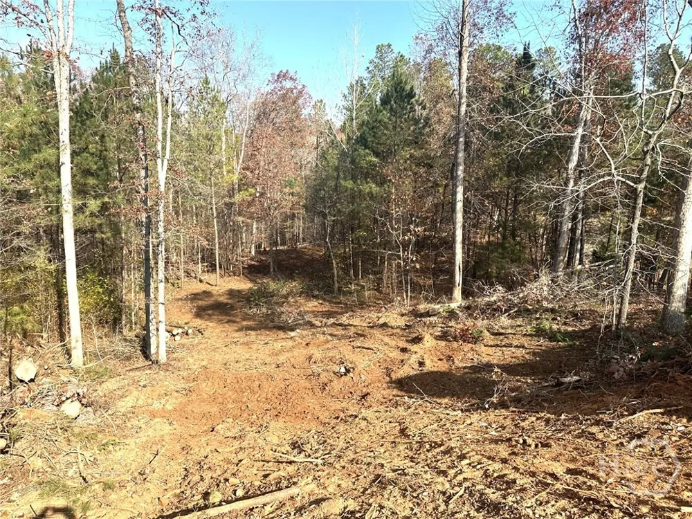 1698 Shoal Creek Way Bishop, GA 30621