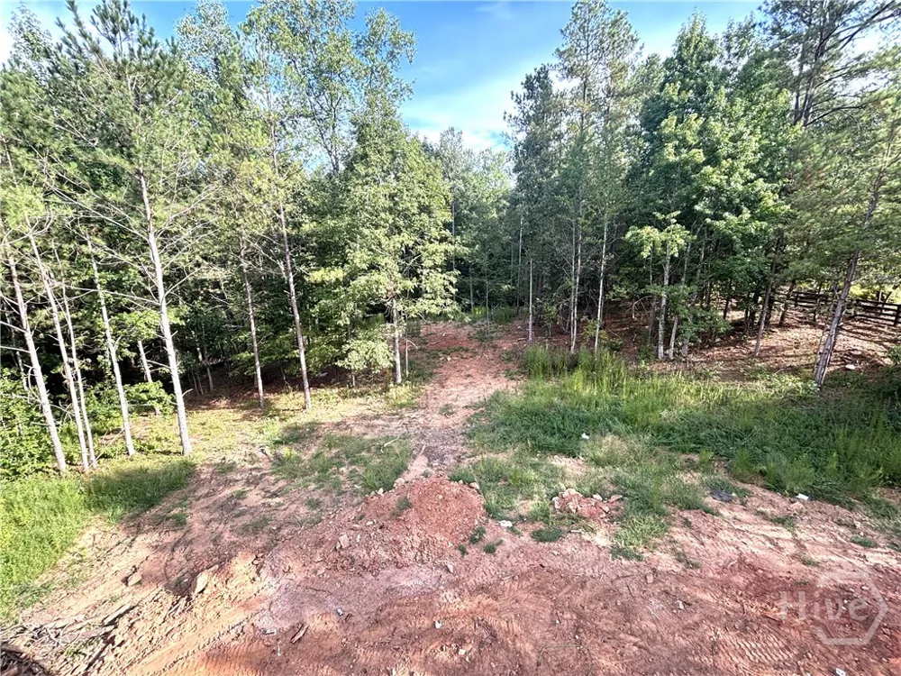 1698 Shoal Creek Way Bishop, GA 30621