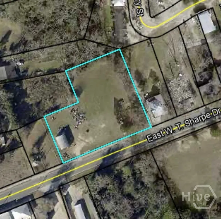 119 W T Sharpe Drive Sylvania, GA 30467