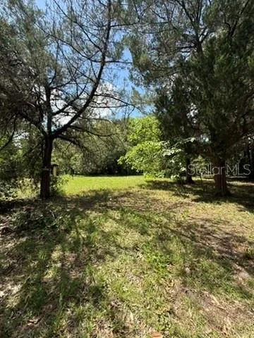 00 SE 71ST AVENUE Hawthorne, FL 32640