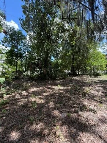 00 SE 71ST AVENUE Hawthorne, FL 32640