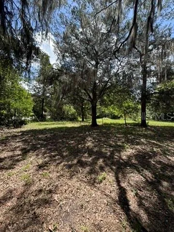 00 SE 71ST AVENUE Hawthorne, FL 32640