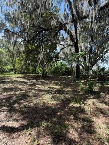 00 SE 71ST AVENUE Hawthorne, FL 32640