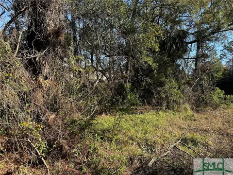Rifle Avenue