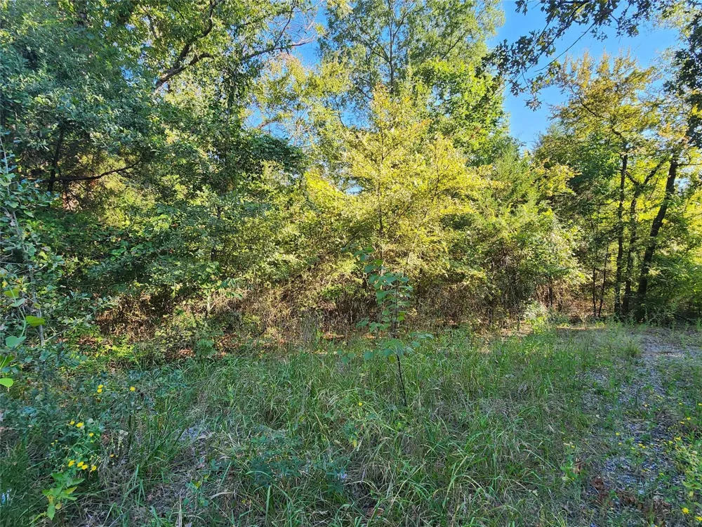 County Rd 3613 Quinlan, TX 75474