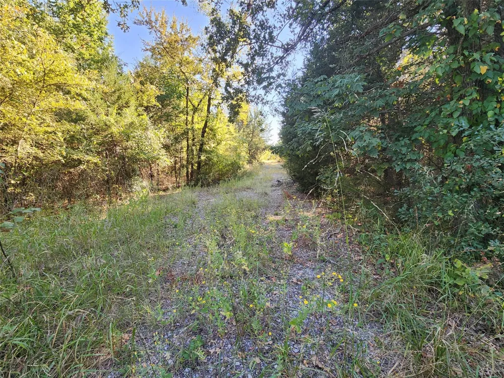 County Rd 3613 Quinlan, TX 75474