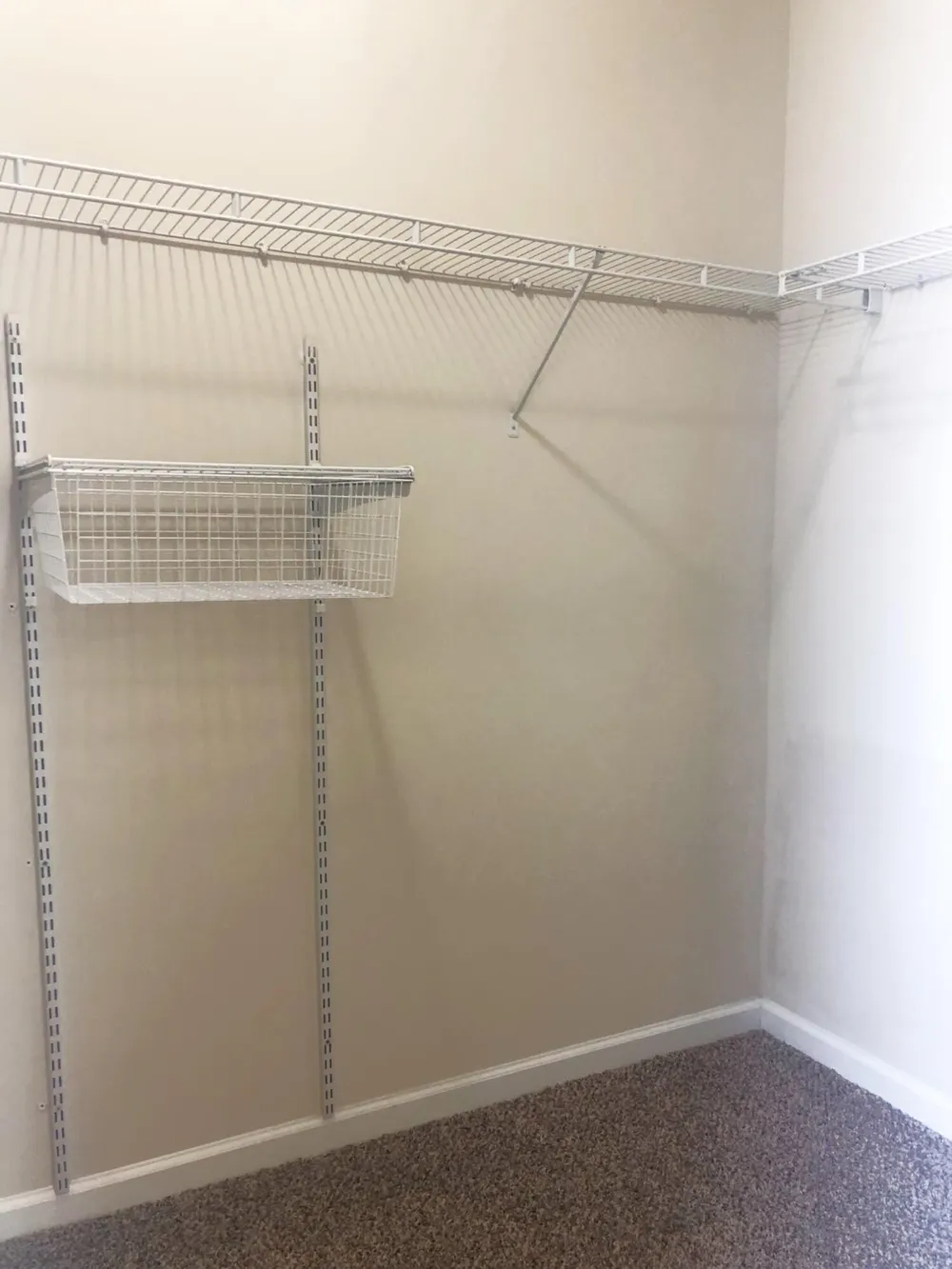 131 Cryptomeria Way Aiken, SC 29803