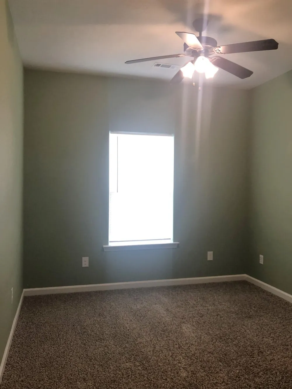131 Cryptomeria Way Aiken, SC 29803