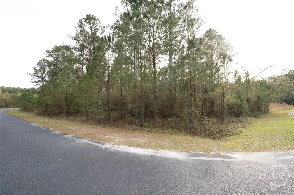 Spring Cove Way NE Townsend, GA 31331