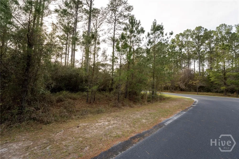 Spring Cove Way NE Townsend, GA 31331