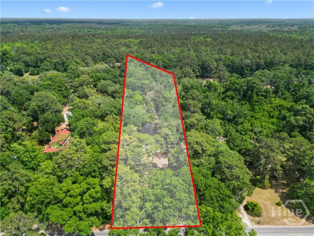 674 Dunlevie Road Allenhurst, GA 31301