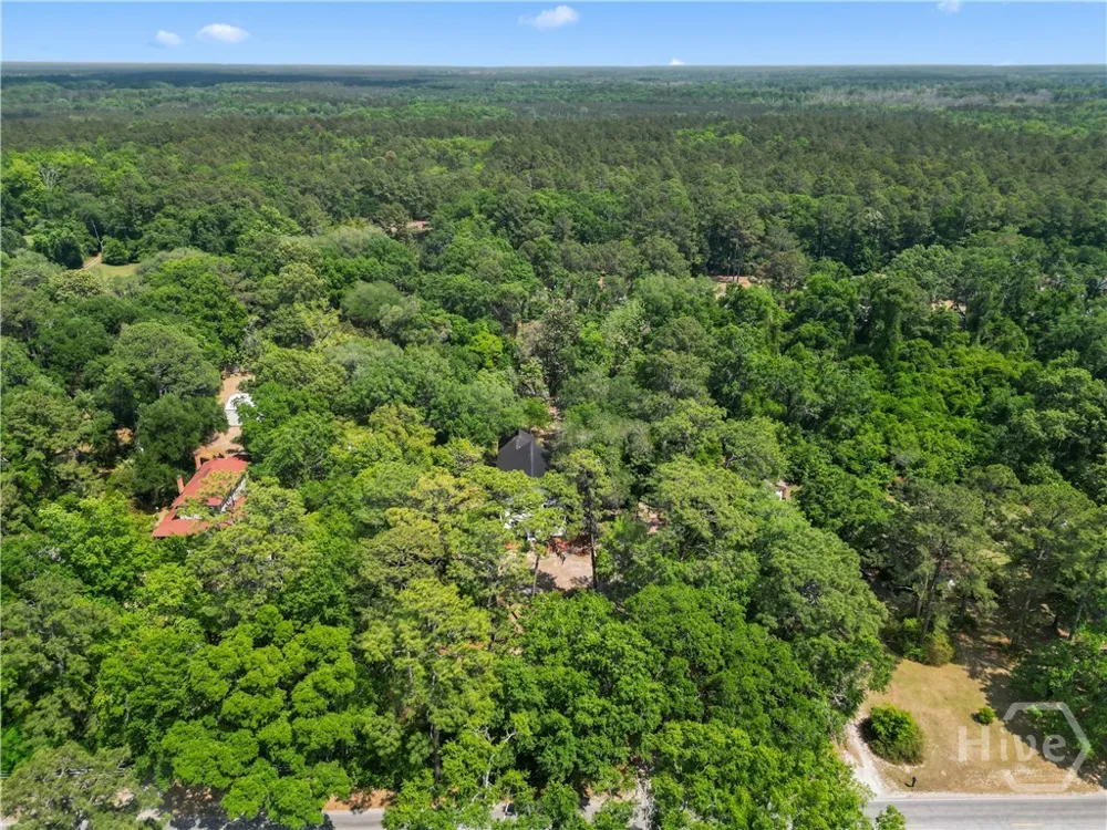 674 Dunlevie Road Allenhurst, GA 31301