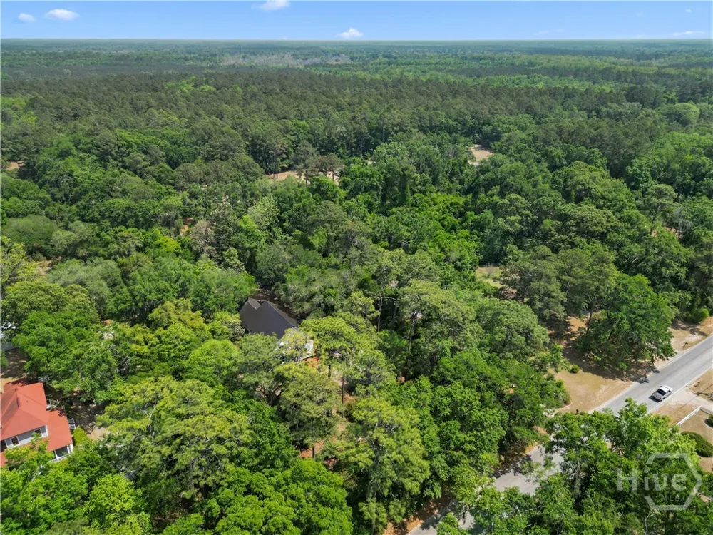674 Dunlevie Road Allenhurst, GA 31301
