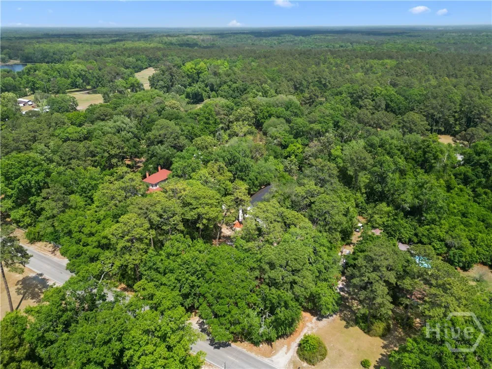 674 Dunlevie Road Allenhurst, GA 31301
