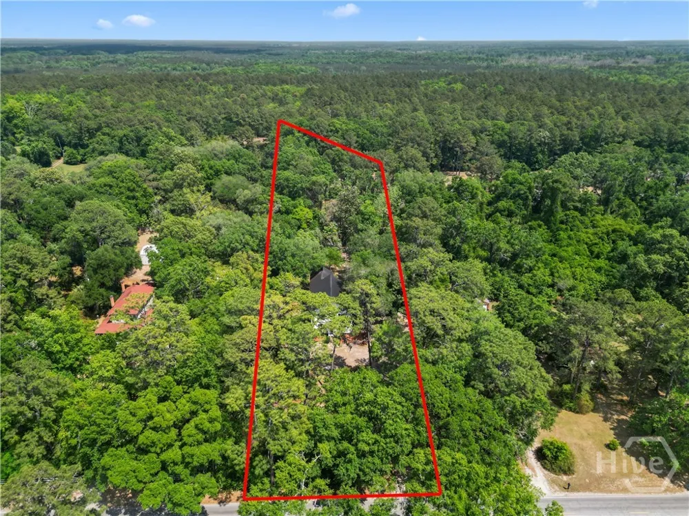 674 Dunlevie Road Allenhurst, GA 31301