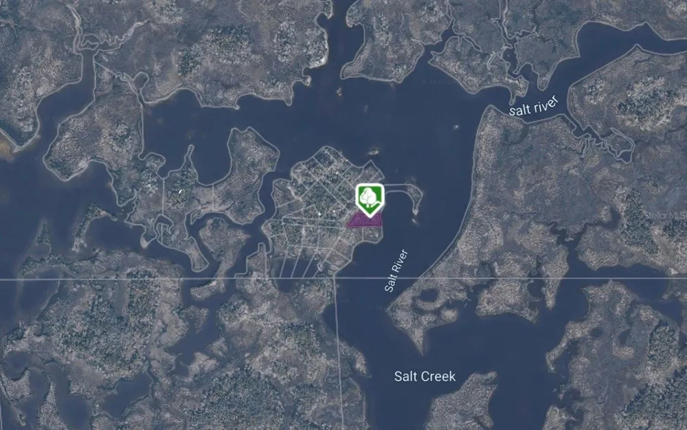 6 CARNAHANS ISLAND Crystal River, FL 34429