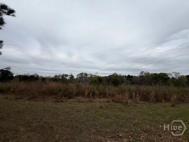 1 RACE PATH Rincon, GA 31326