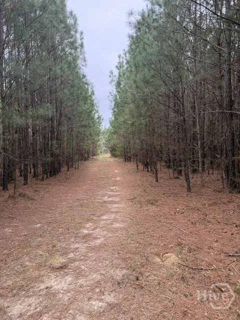 1 RACE PATH Rincon, GA 31326
