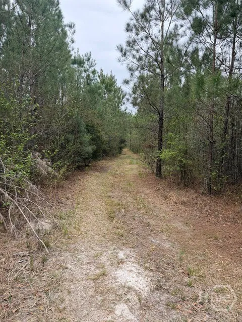 1 RACE PATH Rincon, GA 31326
