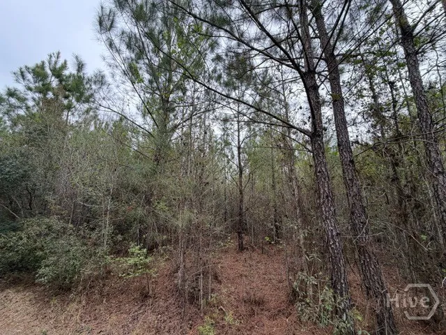 1 RACE PATH Rincon, GA 31326