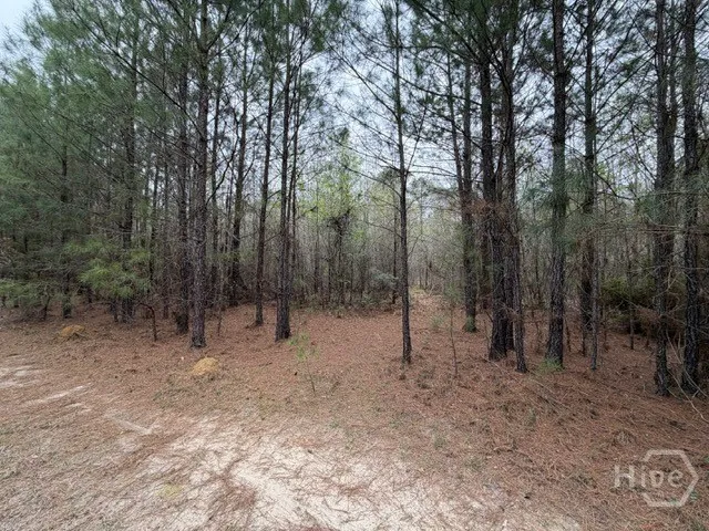 1 RACE PATH Rincon, GA 31326