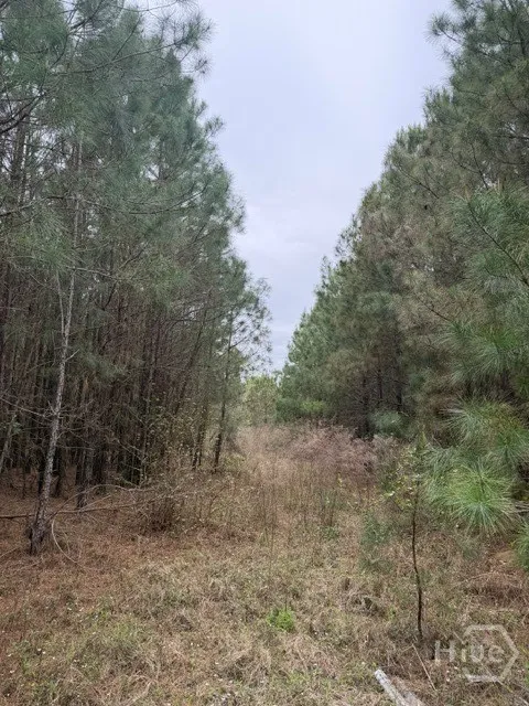 1 RACE PATH Rincon, GA 31326