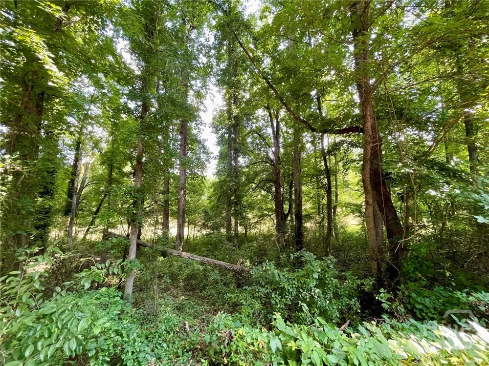 933 Vinings Drive Winder, GA 30680