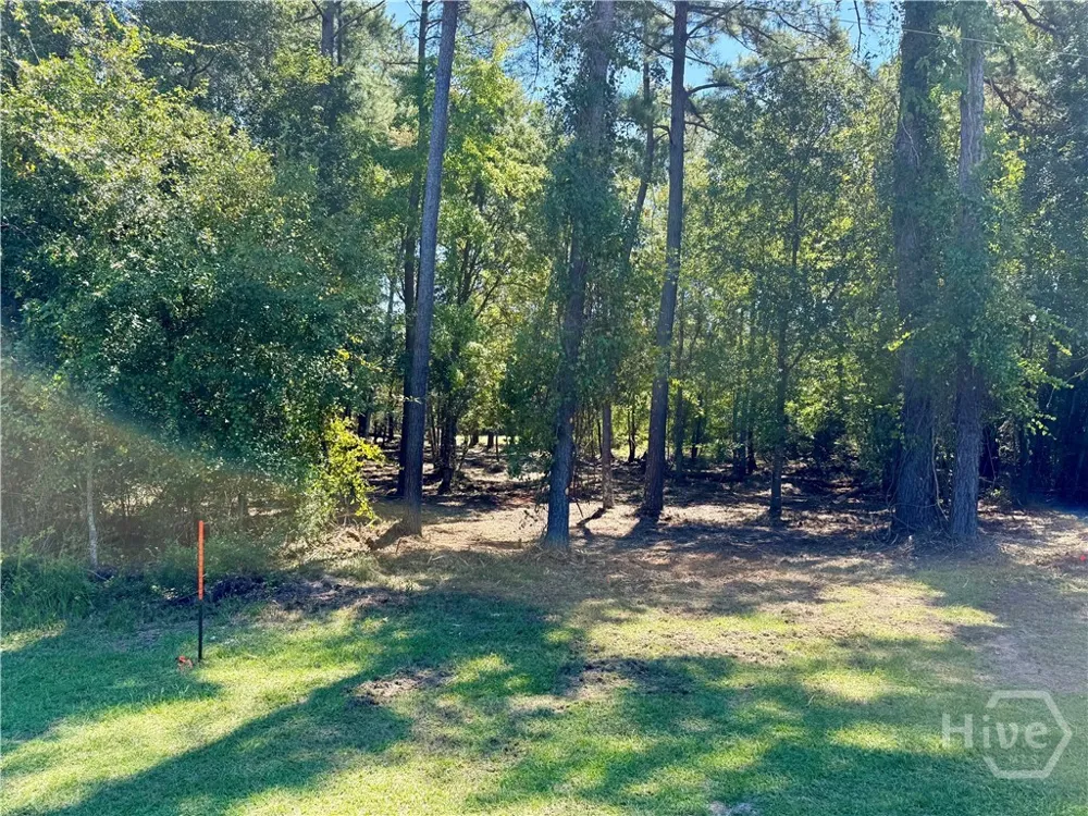 Friendship Road Sylvania, GA 30467