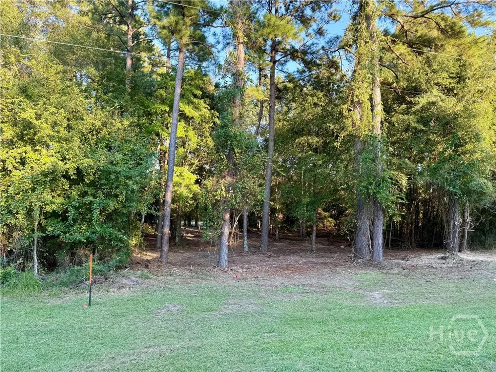 Friendship Road Sylvania, GA 30467
