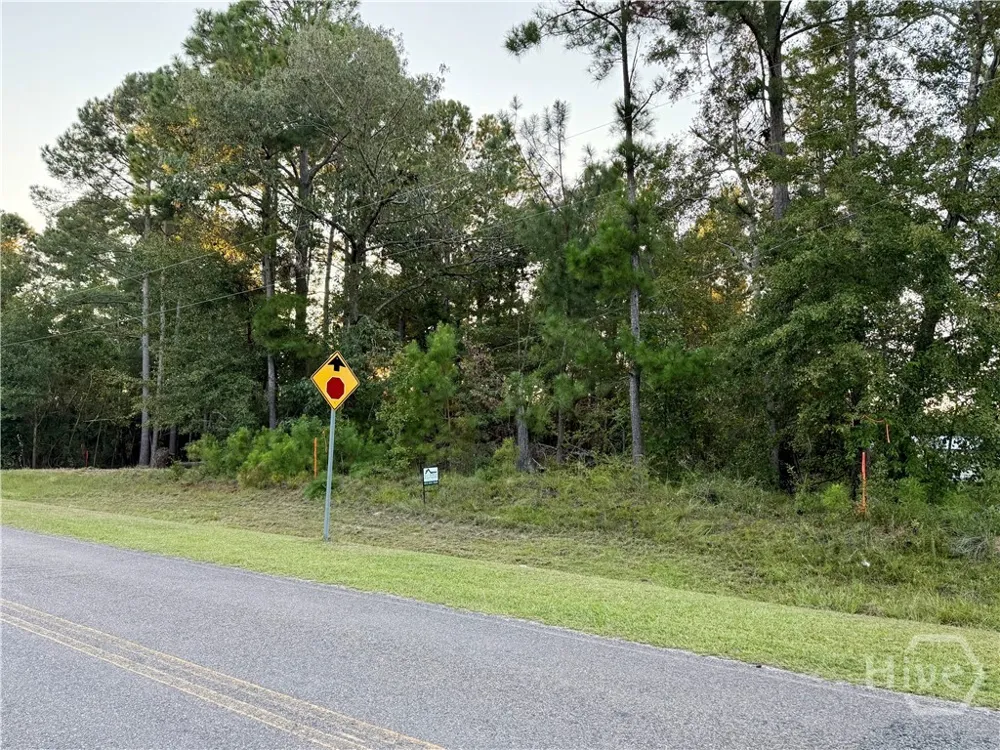 Friendship Road Sylvania, GA 30467