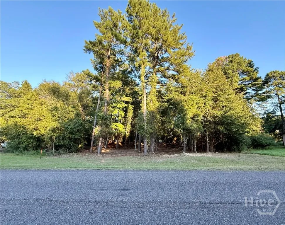Friendship Road Sylvania, GA 30467