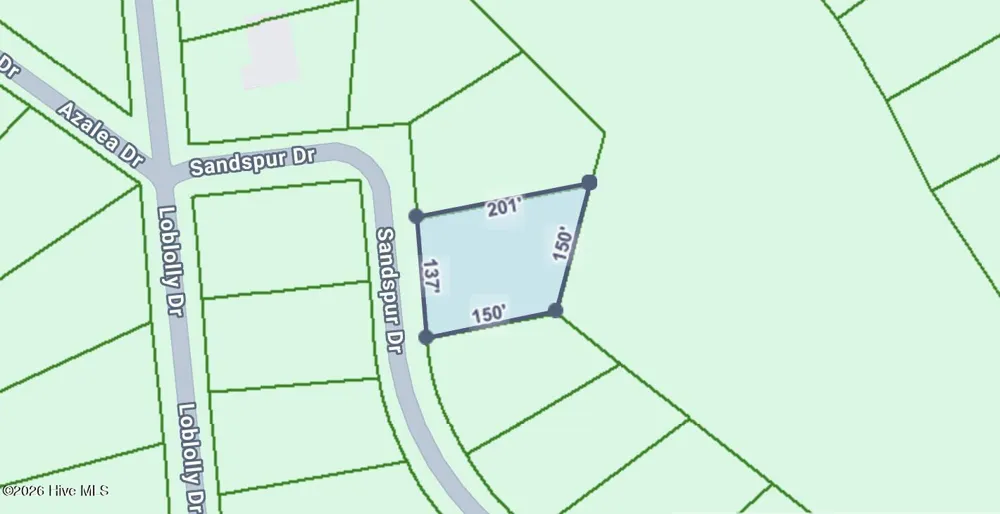 747 Sandspur Drive Vass, NC 28394