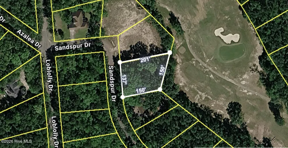 747 Sandspur Drive Vass, NC 28394