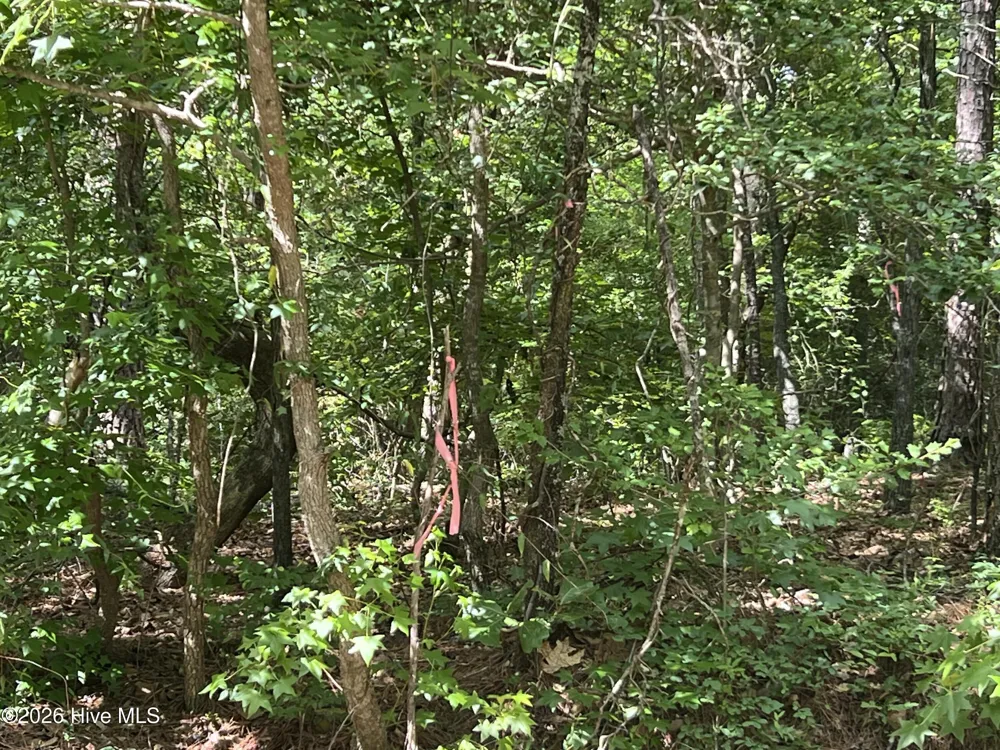 747 Sandspur Drive Vass, NC 28394