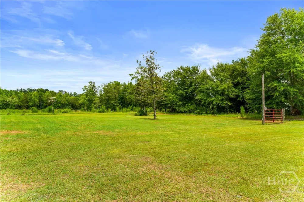 762 Old McLeod Bridge Road Adrian, GA 31002