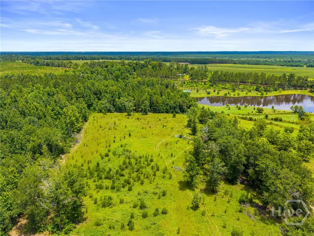 762 Old McLeod Bridge Road Adrian, GA 31002
