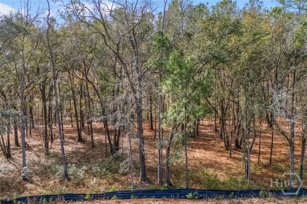 151 Wood Haven Lane Pooler, GA 31322
