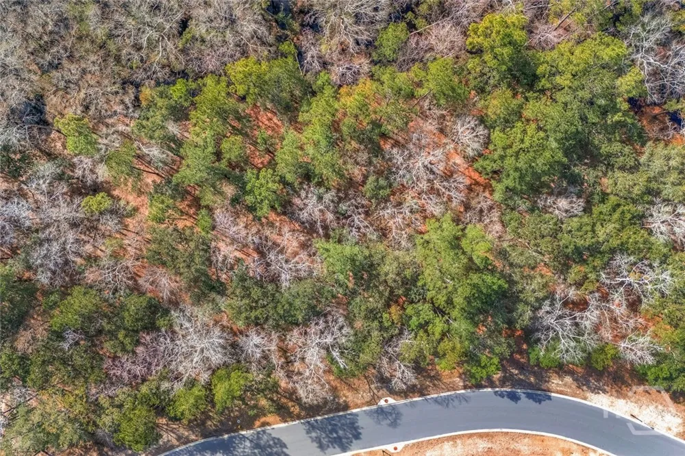 151 Wood Haven Lane Pooler, GA 31322